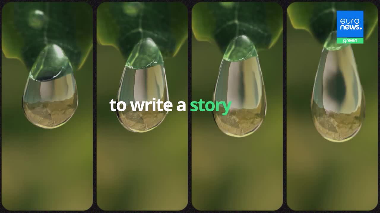A large droplet of water hangs from a green leaf, its surface reflecting the earthy tones below. Another droplet, identical in form, appears next to it, with the words "to write a story" superimposed. A final droplet, also suspended, shows a clearer reflection, and the Euronews green logo sits in the corner. A large droplet of water hangs from a green leaf, its surface reflecting the earthy tones below. Another droplet, identical in form, appears next to it, with the words "to write a story" superimposed. A final droplet, also suspended, shows a clearer reflection, and the Euronews green logo sits in the corner.