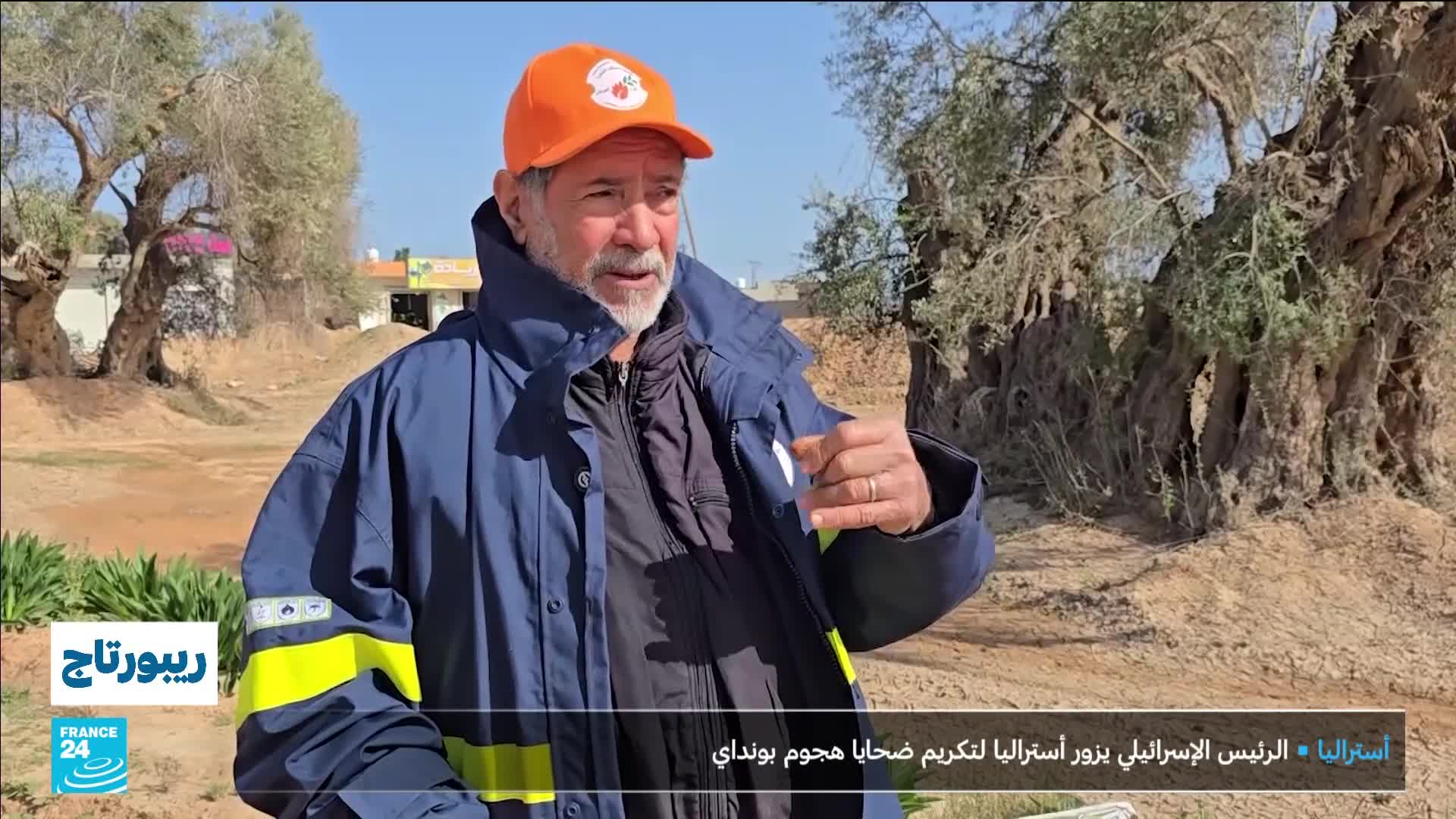 A man in a blue jacket and an orange cap speaks, gesturing with his hands. Behind him, an ancient, gnarled olive tree stands against a backdrop of dry earth and some buildings.