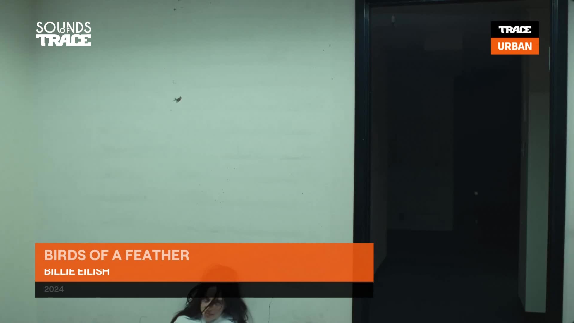 Billie Eilish is sitting on the floor, her dark hair falling around her face. The "Birds of a Feather" title card is prominent, with the Trace Urban logo visible on the right. Billie Eilish is sitting on the floor, her dark hair falling around her face. The "Birds of a Feather" title card is prominent, with the Trace Urban logo visible on the right.