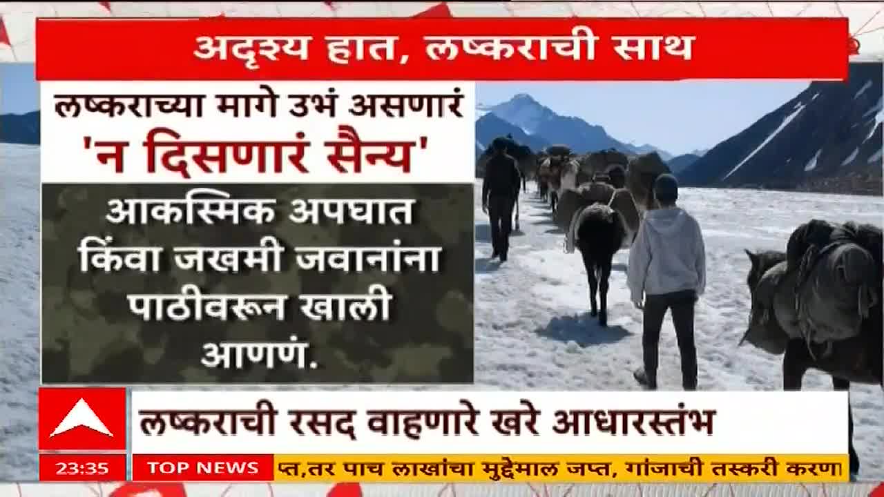 A line of pack animals, laden with supplies, trudges across a snowy expanse. The ABP Majha news graphic highlights their role in supporting the military.

