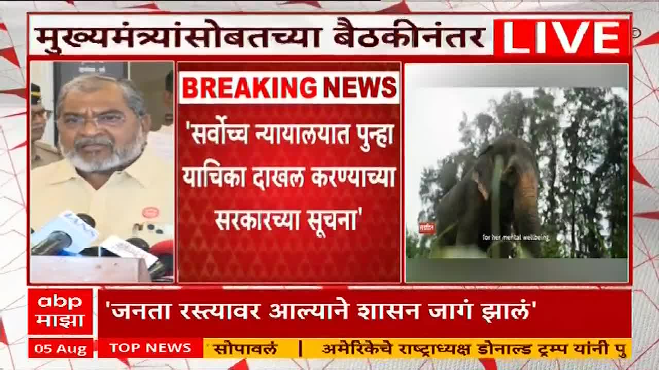A man with glasses and a beard speaks into microphones on a news set, while a headline flashes "Breaking News" in Marathi. An elephant stands in a small inset screen, labeled "for her mental wellbeing."
