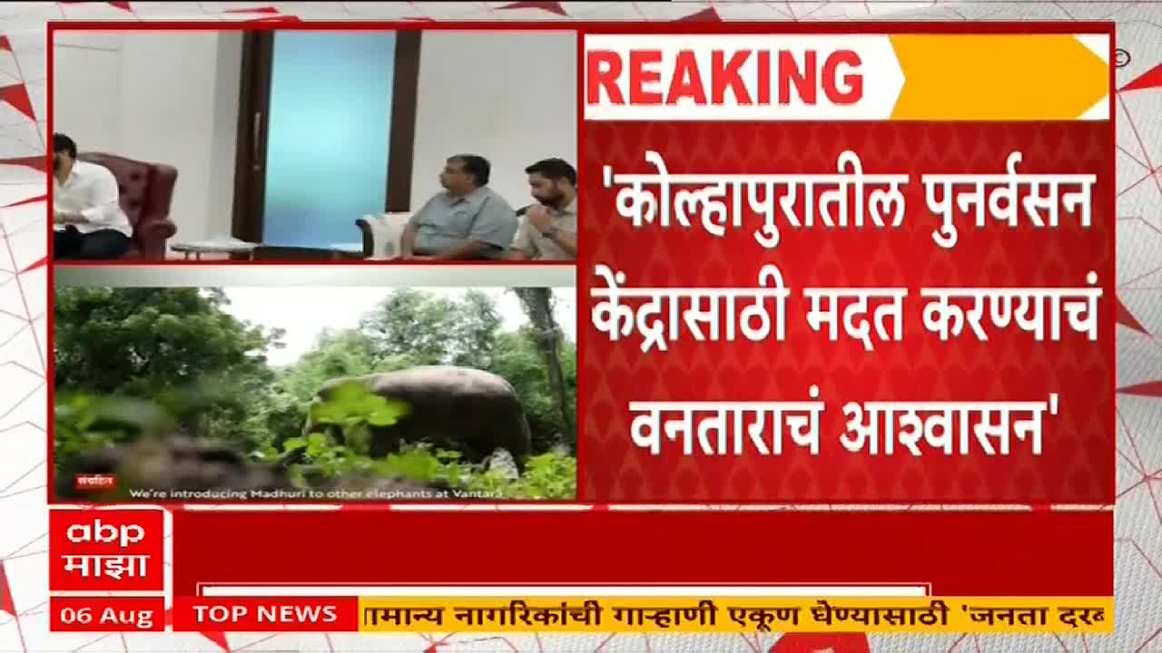 The ABP Majha screen shows a news report with text in Marathi and a video clip of an elephant. Above, three men sit at a table, likely discussing the news.
