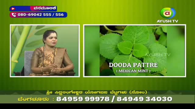 On Ayush TV, a woman in a brown sari speaks in front of a green backdrop, while a close-up of Mexican mint sits in a separate frame. The screen also displays contact information in Kannada.
