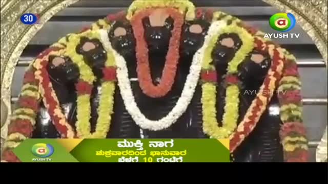 A multi-headed serpent statue, draped in garlands of yellow, red, and white flowers, is the focus. The Ayush TV logo is visible in the corner, and text in Kannada is displayed at the bottom of the screen.

