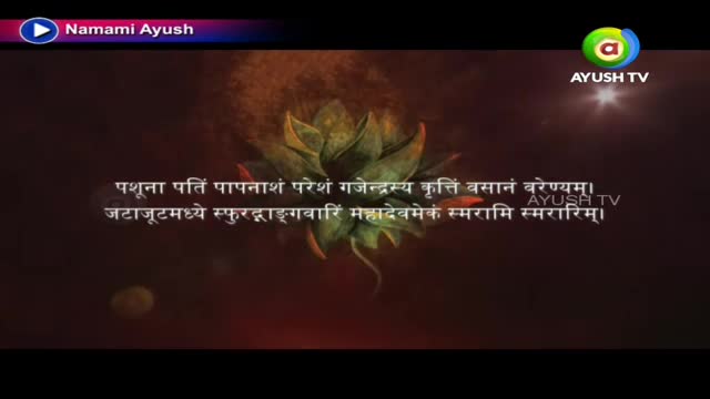 A lotus flower, bathed in soft light, is the centerpiece of the Ayush TV screen. Sanskrit script is overlaid on the image, with the Ayush TV logo visible in the corner.
