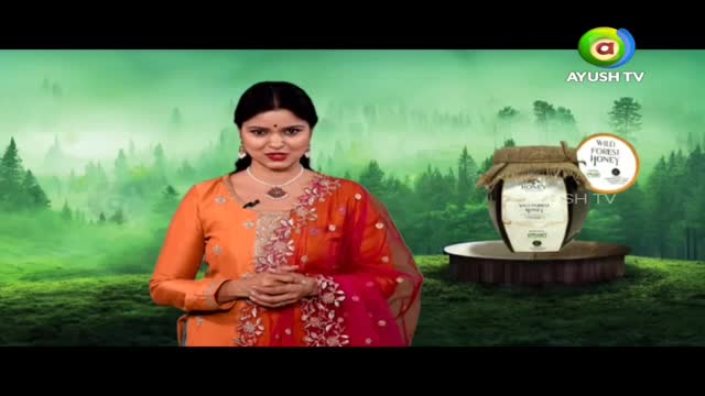 A woman in an orange and pink outfit stands before a misty green forest backdrop. Beside her, a large ceramic pot of "Wild Forest Honey" sits on a wooden stand.