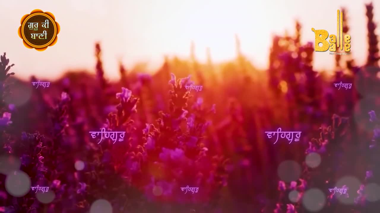 Purple flowers, bathed in the warm light of the sun, create a soft, glowing backdrop. The words "Waheguru" are scattered across the scene, with the "Balle Balle" logo in the corner.
