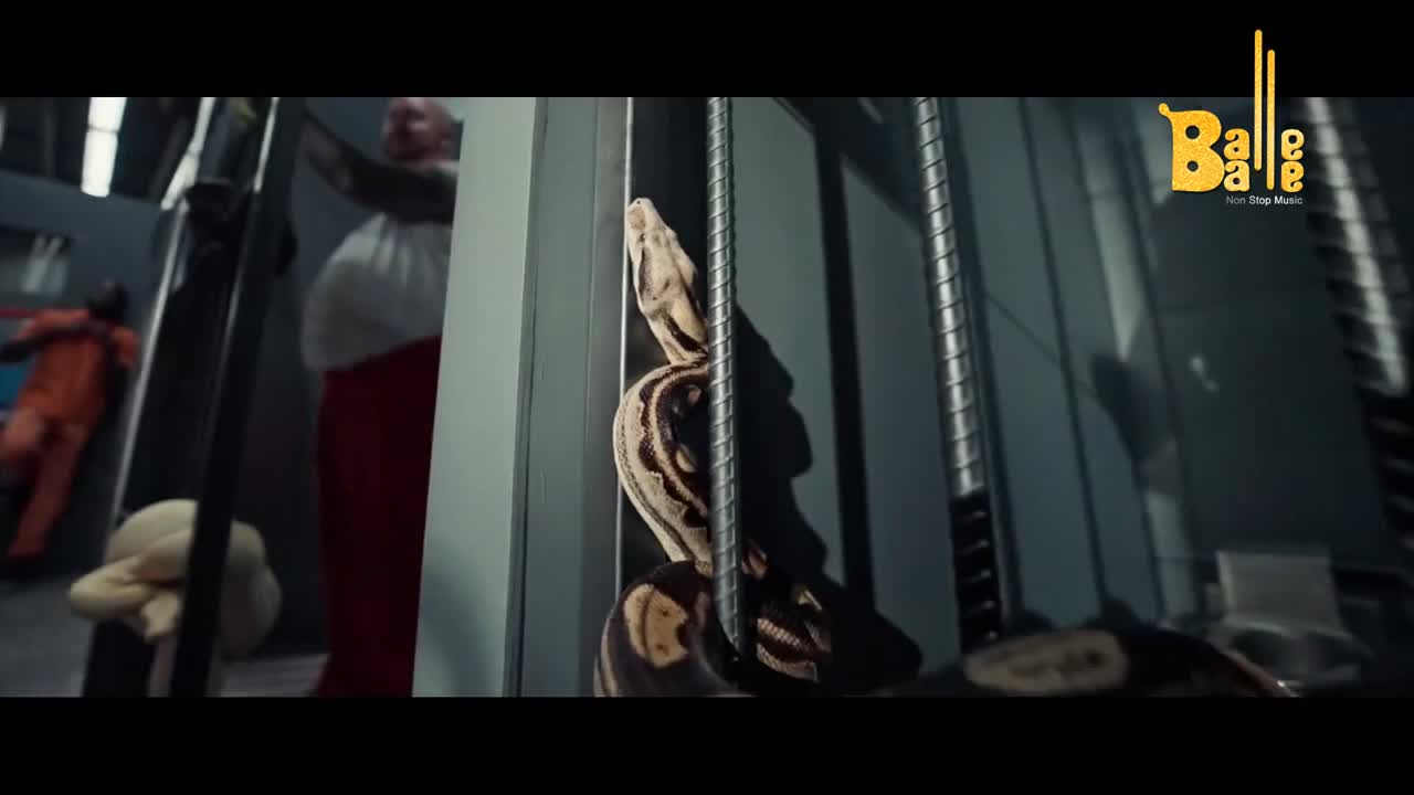 A large python coils itself around metal bars, its patterned scales catching the light. In the background, a man in an orange jumpsuit is visible, and another man with a prominent belly wears red pants.