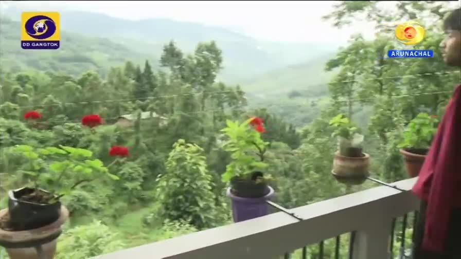 From a balcony, a green landscape stretches into the distance, dotted with red flowers. A person in a red shirt stands to the right, framed by potted plants and the DD Arun Prabha logo.
