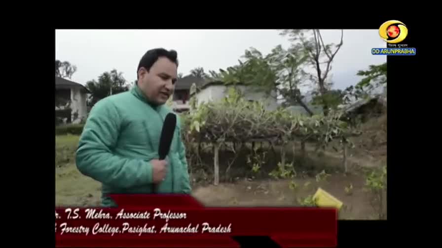 A man in a green jacket stands in a garden, holding a microphone and speaking. The DD Arunprabha logo is visible in the corner, and a lower third identifies him as an associate professor from Arunachal Pradesh.
