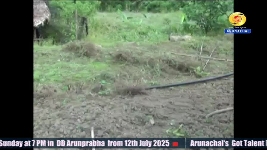 A muddy field stretches out, with small mounds of earth and patches of vegetation. A black hose snakes across the ground, and the DD Arunprabha logo is in the corner.
