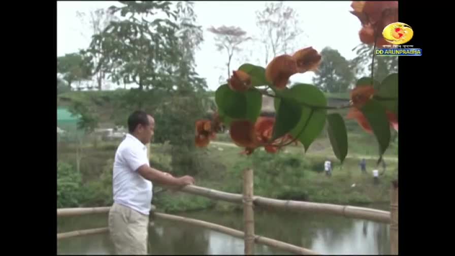 A man in a white shirt leans on a bamboo railing, gazing out at the water. Overhead, a branch of orange flowers and green leaves frames the scene, a logo for DD Arun Prabha visible in the corner.
