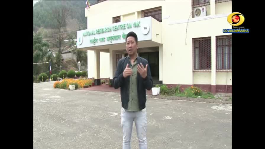 A man in a black jacket gestures with his hands, speaking in front of a building with a sign in English and Hindi. The DD Arun Prabha logo is visible in the corner, suggesting this is part of a broadcast from India.
