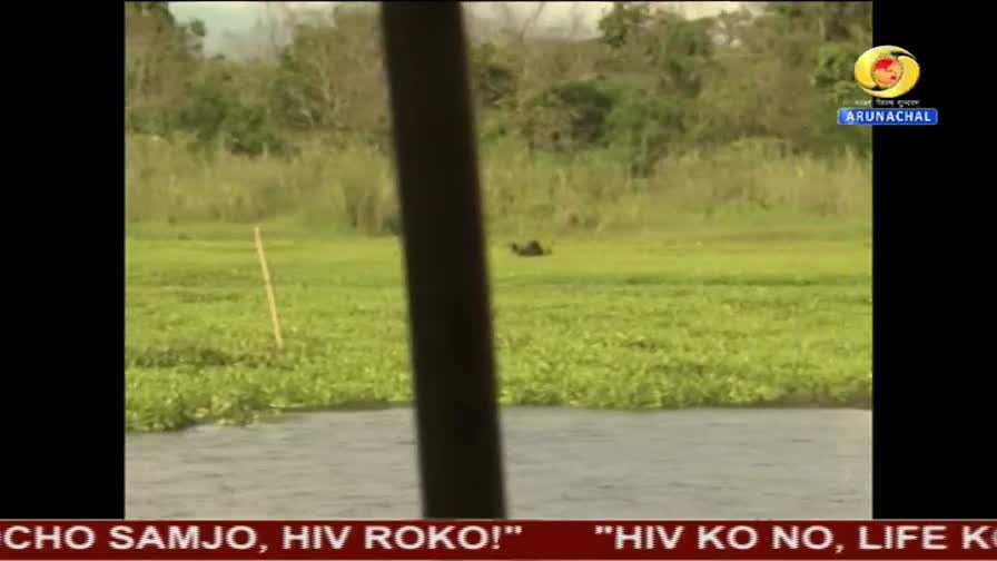 A dark shape moves across the green field, likely an animal. The scene is being broadcast on DD Arun Prabha from India.
