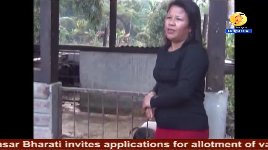 A woman in a black top and red skirt is speaking, likely for DD Arun Prabha, with a pig pen behind her. The logo for Arunachal is visible in the top right corner.
