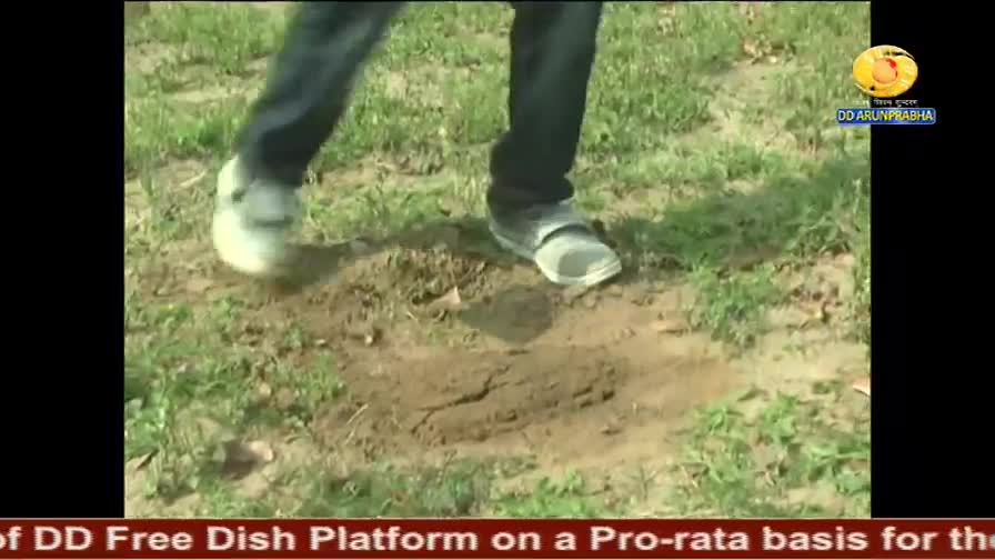 A person's feet, clad in sneakers, are stomping on a patch of dirt amidst the grass. The DD Arun Prabha logo is visible in the corner, and the caption below mentions DD Free Dish Platform.
