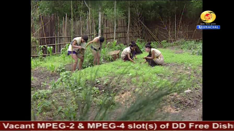 Four young people are tending a small, green field. The DD Arun Prabha logo marks this scene from Arunachal, India.