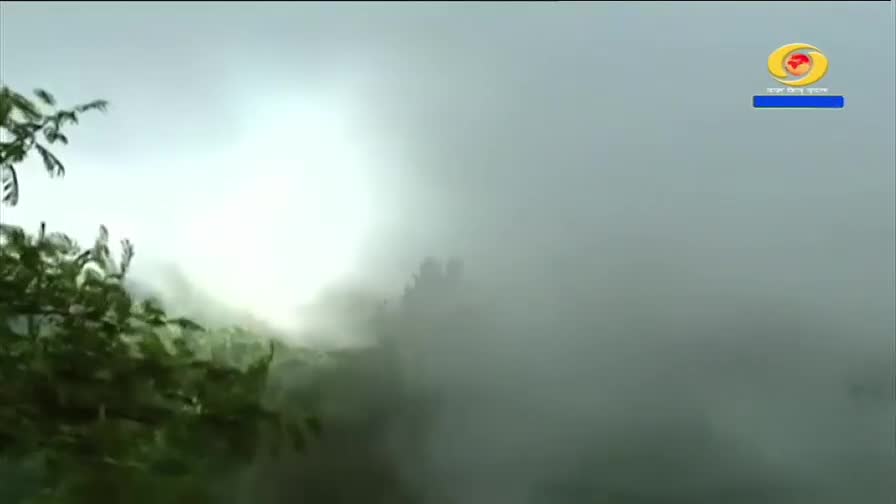 Thick fog rolls in from the mountains, obscuring the lush green foliage. The DD Arun Prabha logo appears in the corner, a reminder of the broadcast.