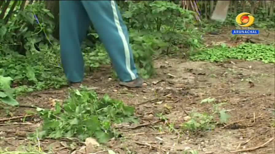 A person in teal pants with white stripes is tending to a garden bed. Green leaves are piled on the dirt, and a small patch of vibrant green sprouts is visible in the background.