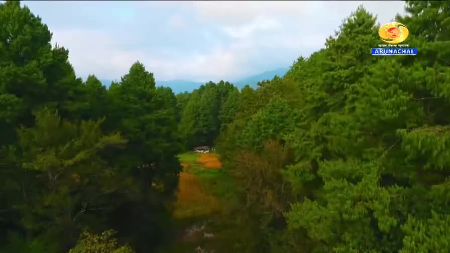 A small, white structure sits in a clearing surrounded by dense, green pine trees. The sky above is a soft blue with scattered clouds, hinting at the mountainous terrain of Arunachal Pradesh.