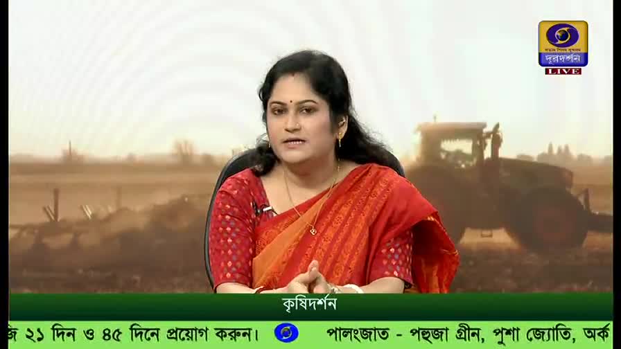 A woman in a red sari gestures with her hands, speaking directly to the camera. Behind her, a tractor works in a field, likely on a program from DD Bangla about agriculture.
