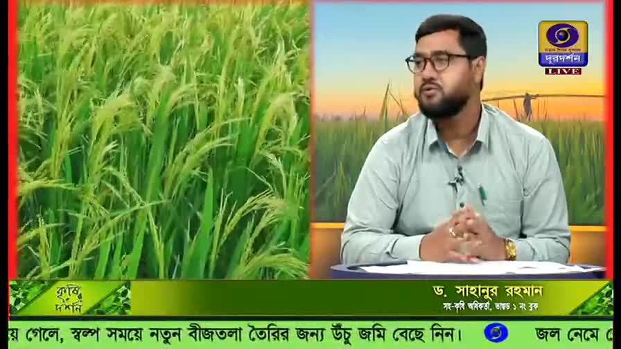 A man in glasses speaks, framed by a field of green rice on DD Bangla. The screen shows the program "Krishi Darshan" is live.
