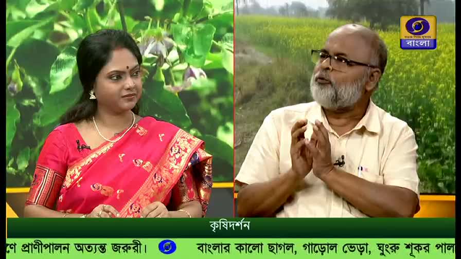 A woman in a bright red sari sits attentively as a man with a white beard gestures with his hands, speaking on the DD Bangla program, "Krishidarshan." Behind them, images of crops and fields are displayed.
