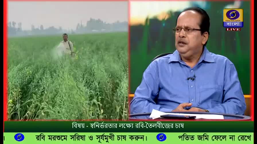 On the left, a farmer sprays a field of crops, the mist catching the light. Across the screen, a man in a blue shirt speaks on DD Bangla, discussing the topic of the crops.
On the left, a farmer sprays a field of crops, the mist catching the light. Across the screen, a man in a blue shirt speaks on DD Bangla, discussing the topic of the crops.