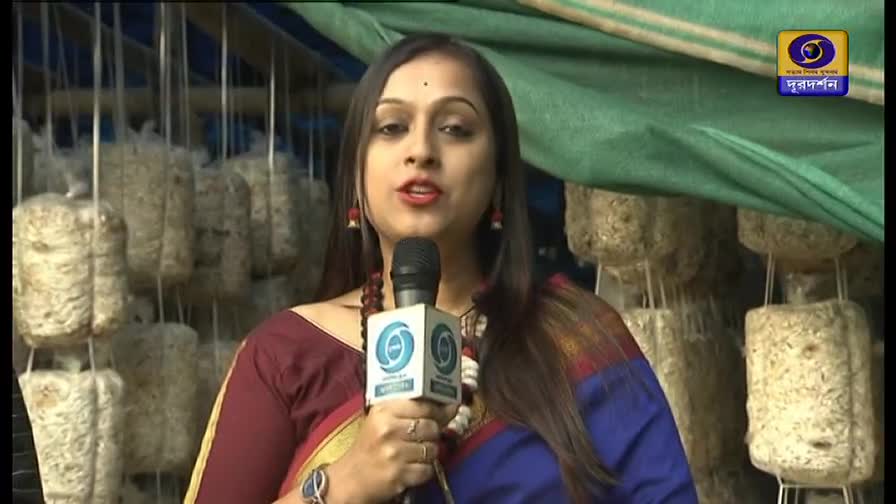 A woman in a sari speaks into a microphone, the DD Bangla logo visible. Behind her, rows of what look like mushroom blocks hang from a structure.
A woman in a sari speaks into a microphone, the DD Bangla logo visible. Behind her, rows of what look like mushroom blocks hang from a structure.