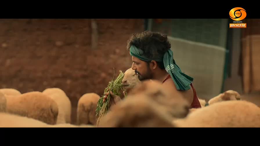A man in a green headscarf offers a sheep a bundle of green leaves. The sheep lowers its head to eat, surrounded by others in a pen.
