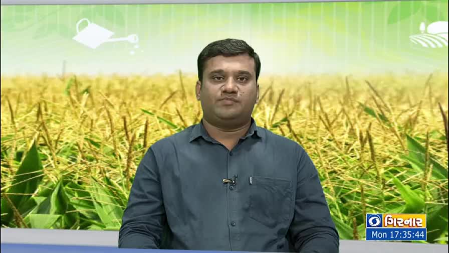 A man in a dark shirt looks directly at the camera, a microphone clipped to his lapel. Behind him, a backdrop depicts a field of tall, golden crops.
