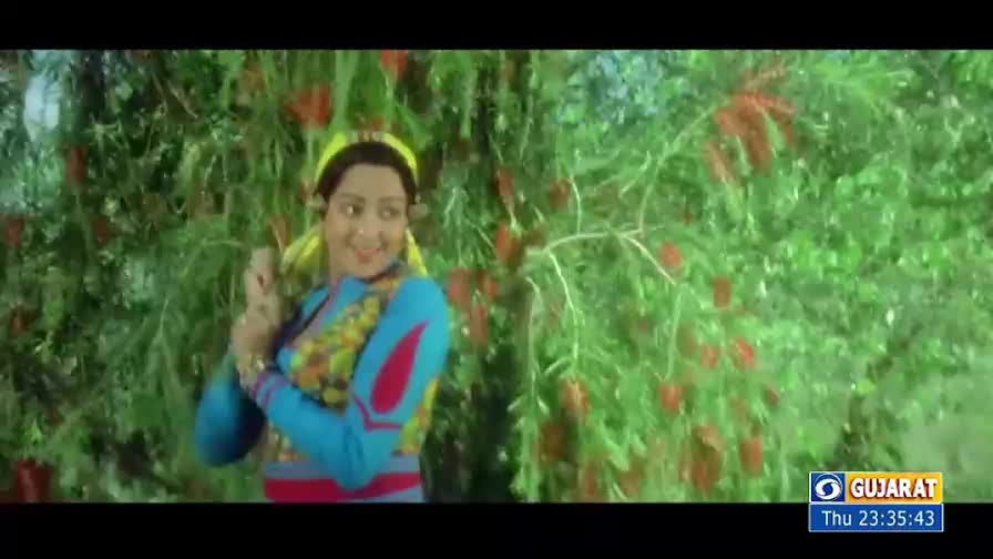A woman in a bright blue sweater smiles, her hands gesturing near a bush with red flowers. The scene, likely from a DD Girnar broadcast in India, is framed by dense green foliage.
