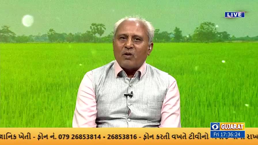 A man in a vest and collared shirt speaks, likely on DD Girnar, with a green field backdrop. Below, text and a clock display the time and location.
