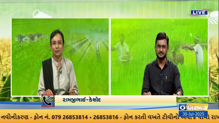 Two people sit at a desk, speaking on DD Girnar, with images of farming behind them. The broadcast is live, discussing agricultural topics, with text in Gujarati at the bottom of the screen.
