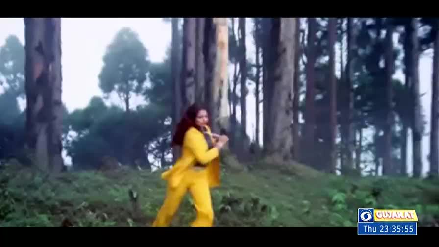 A woman in a bright yellow suit walks through a forest, playing a flute. Tall, slender trees rise behind her, and the scene is bathed in a soft, diffused light.
