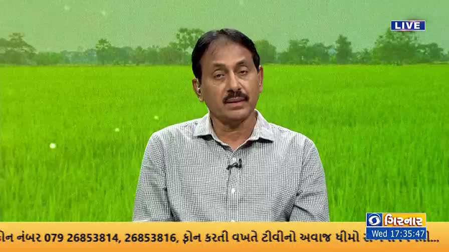 A man in a button-down shirt speaks directly to the camera, a green field behind him. The DD Girnar logo and the time are displayed in the corner.
