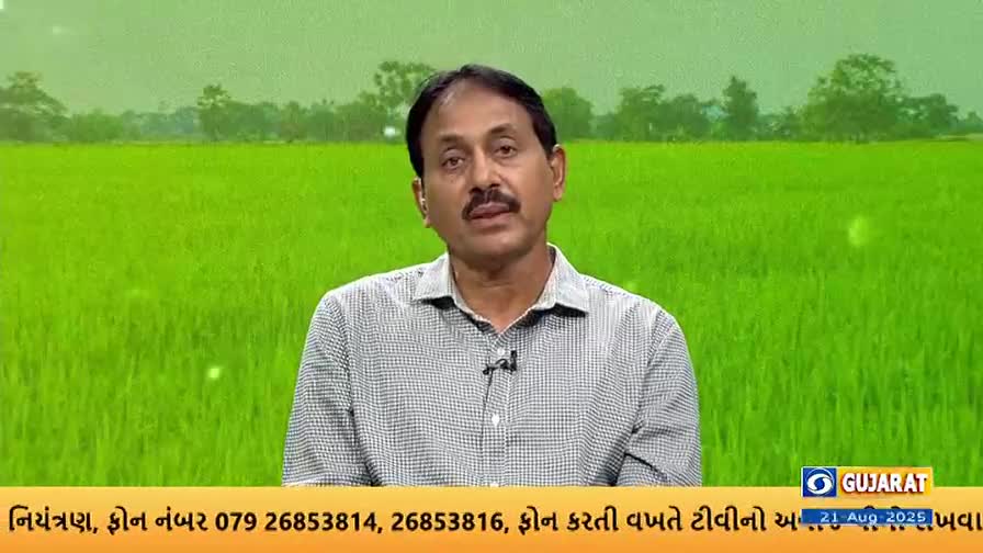A man in a checkered shirt speaks directly to the camera, against a backdrop of a vibrant green field. The DD Girnar logo and text in Gujarati, indicating a broadcast from Gujarat, are visible at the bottom of the screen.
