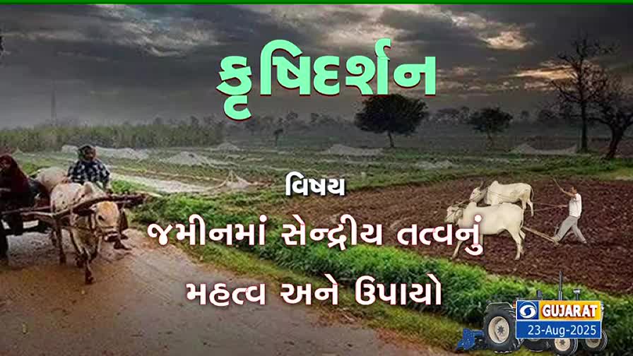 A farmer guides a team of oxen pulling a plow through a field, while another drives a cart along a dirt road. The sky is overcast, and the scene suggests a broadcast from DD Girnar about organic farming in Gujarat.
