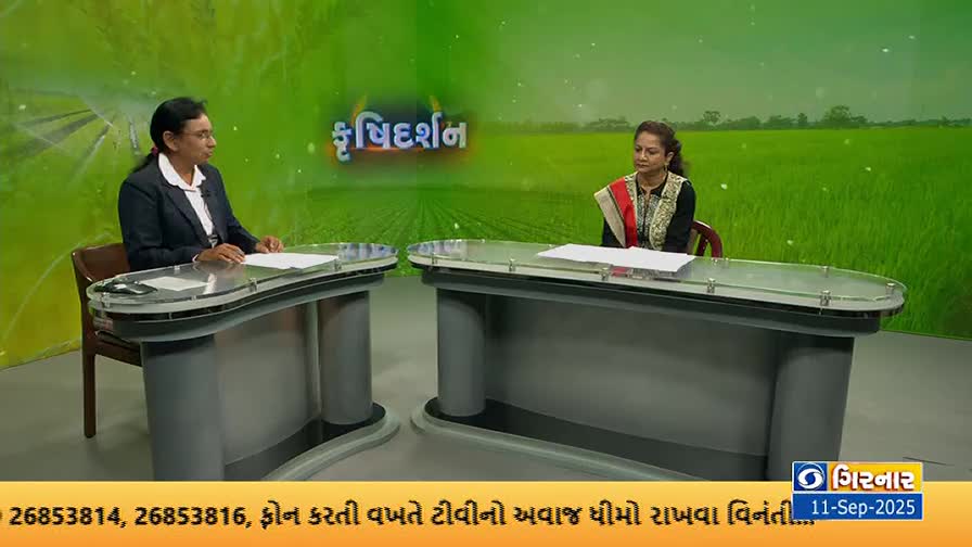 Two women sit at separate desks, facing each other, in a television studio. Behind them, a backdrop shows a green field, and the DD Girnar logo is visible in the corner.
