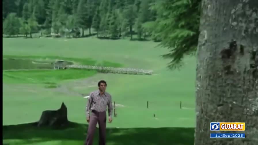 A man in a patterned shirt and purple pants stands on a vast green lawn, framed by trees. Beyond him, a small lake and a wooden bridge are visible against a backdrop of tall pines.
