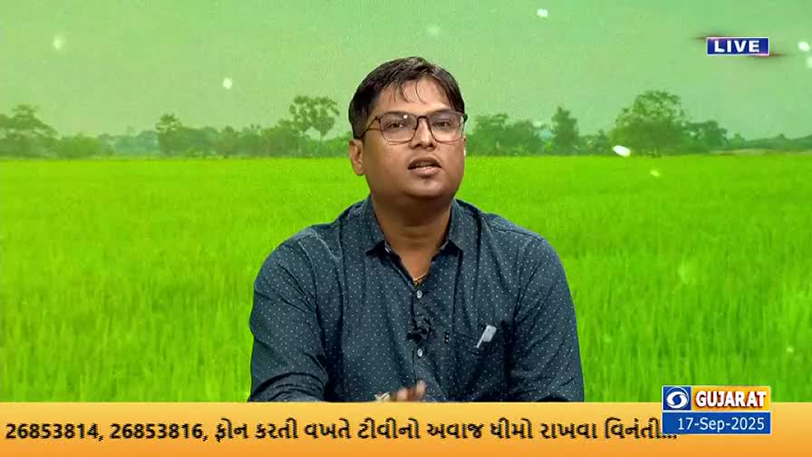 A man in glasses and a blue shirt is speaking, framed against a backdrop of a vibrant green field. The "LIVE" graphic and the DD Girnar logo suggest this is a broadcast from Gujarat.
