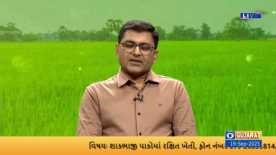 A man in glasses and a brown shirt speaks directly to the camera, a microphone clipped to his collar. Behind him, a vibrant green field fills the screen, likely a backdrop for a DD Girnar broadcast from Gujarat, India.

