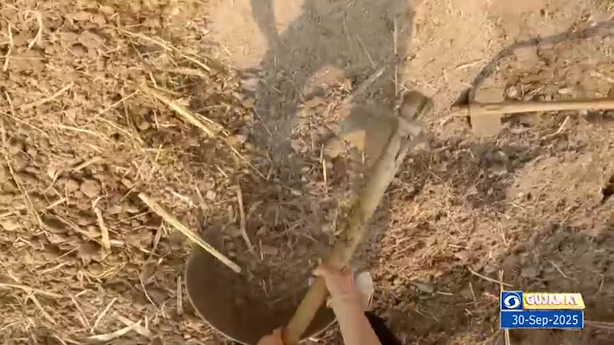 A hand swings a pickaxe, striking the dry, sun-baked earth. The tool bites into the soil, breaking it up with each deliberate swing.
