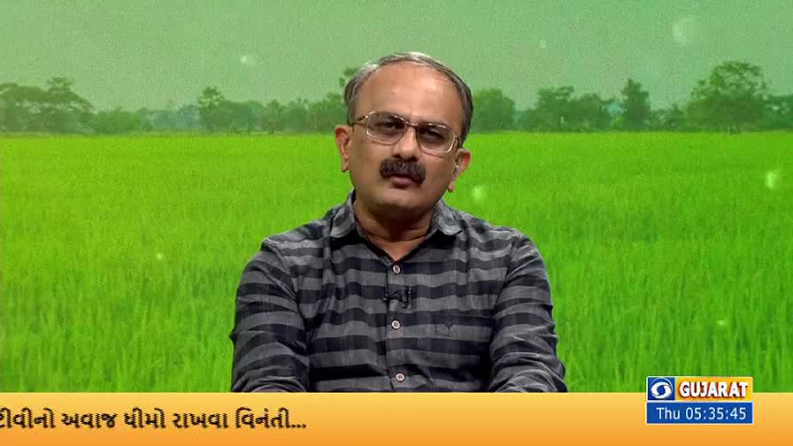 A man in glasses and a striped shirt is speaking, framed against a backdrop of lush green fields. The DD Girnar logo is visible in the corner, and the time is displayed.
