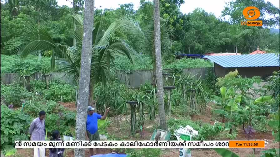 A man in a blue shirt gestures towards a garden, likely explaining something for the DD Malayalam broadcast. Lush greenery surrounds the plot, with what looks like dragon fruit plants visible.
