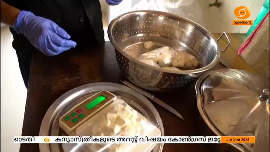A person in blue gloves is handling small, packaged items near a scale. A metal colander sits nearby, containing more of the same.
