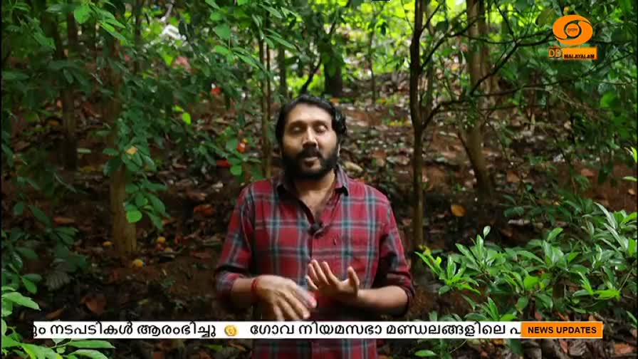 A man in a red plaid shirt gestures with his hands while speaking, backed by a lush green forest. The DD Malayalam logo is visible in the top right corner, and text scrolls along the bottom of the screen.
