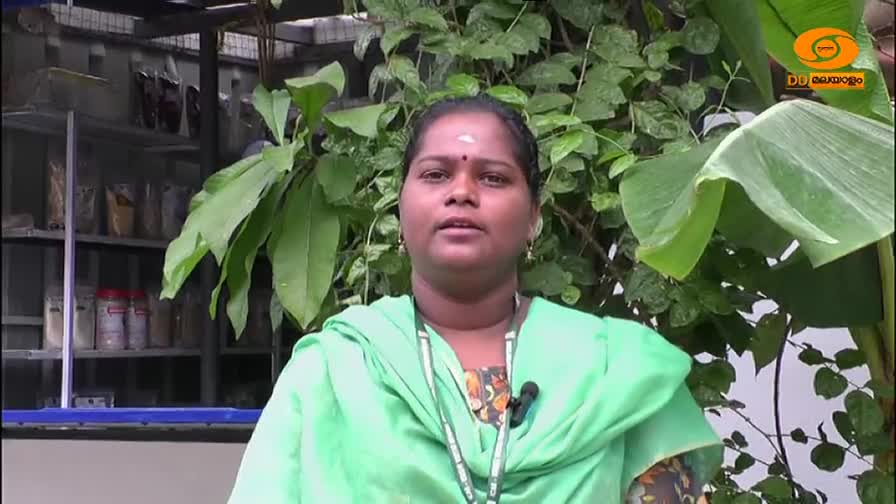 A woman in a green top is speaking directly to the camera, a small microphone clipped to her collar. Behind her, a shelf displays various packaged goods, and lush greenery frames the shot.
A woman in a green top is speaking directly to the camera, a small microphone clipped to her collar. Behind her, a shelf displays various packaged goods, and lush greenery frames the shot.