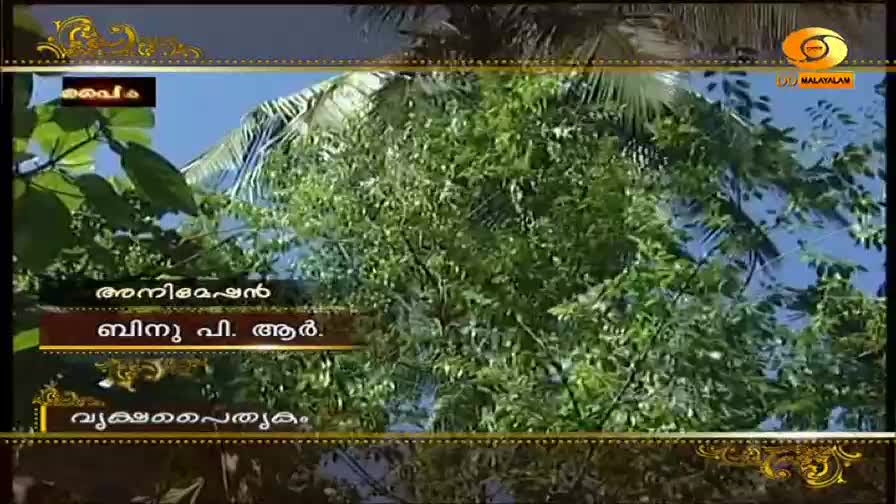 Sunlight filters through dense green leaves, dappling the sky. A Malayalam title card appears, identifying "Animation" and "Binny P. Adoor." Sunlight filters through dense green leaves, dappling the sky. A Malayalam title card appears, identifying "Animation" and "Binny P. Adoor."