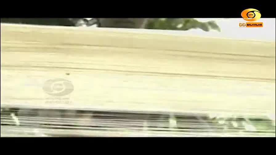 A train rushes past, its carriages a pale yellow blur against the green landscape. The DD Malayalam logo flashes in the corner.